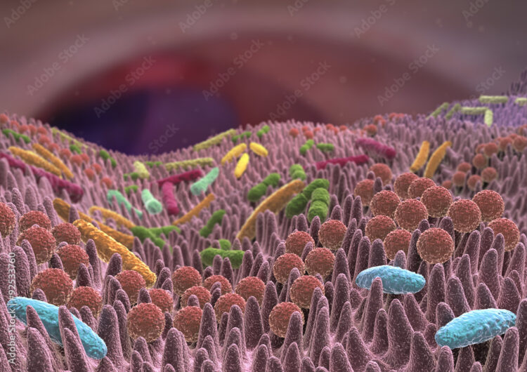 100兆個の細菌が存在する「腸内フローラ」とは？