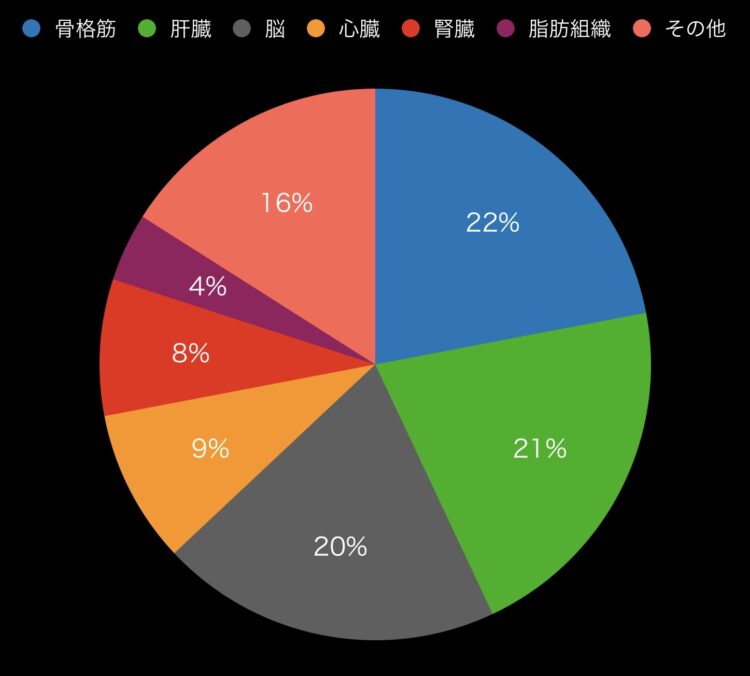 基礎代謝の内訳